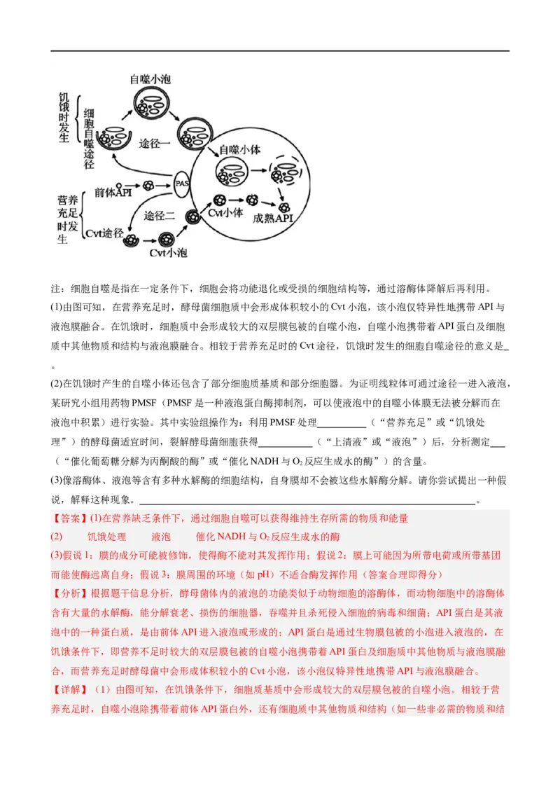 《专题01细胞的分子组成、结构和物质运输（分层练）（解析版）_初高中资料库_高中资料库（转存避免链接过期失效）_高中生物》第9页预览