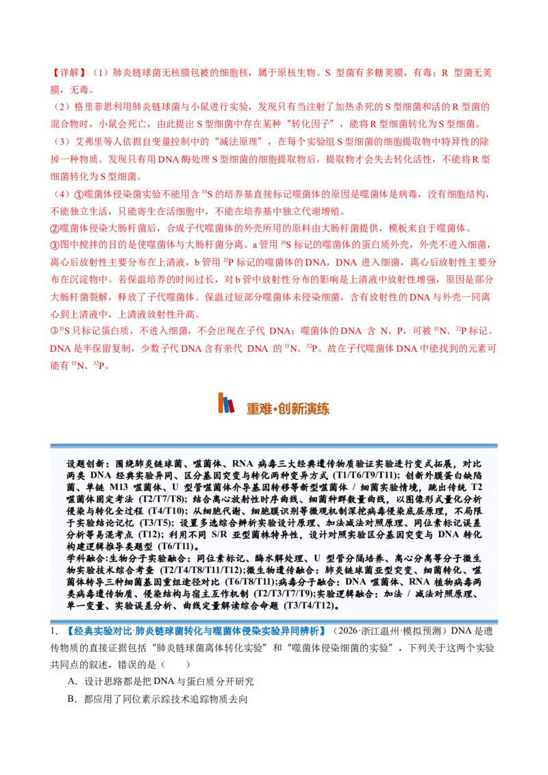 《第19讲DNA是主要的遗传物质（专项训练）（全国通用）（教师版）_高考一二三轮复习_生物_2027年高考生物一轮_2027年高考生物一轮复习讲义+练习+课件（新教材新高考）-G55_2027版》第10页预览