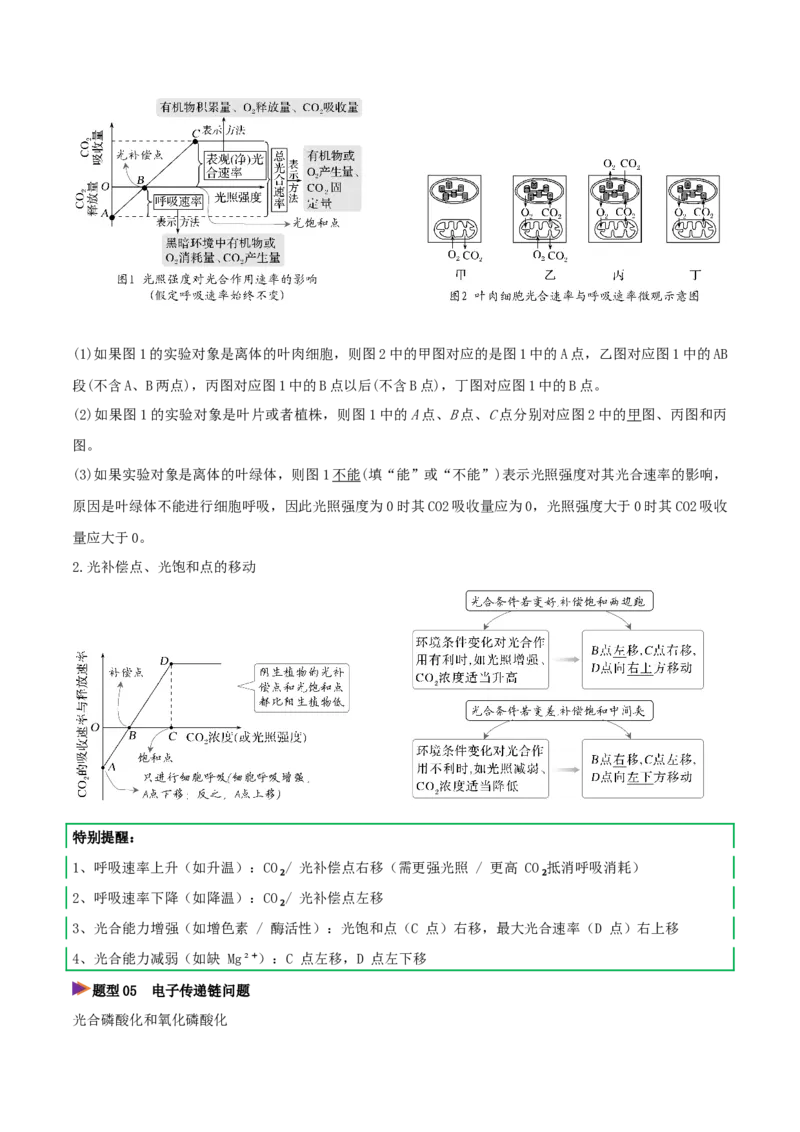《压轴题01细胞代谢相关难点分析（8大题型精析）（全国通用）（解析版）_高考一二三轮复习_生物_2026年-生物高考专项复习_2026年高考生物终极冲刺讲练测（全国通用）-G459_2026版》第3页预览