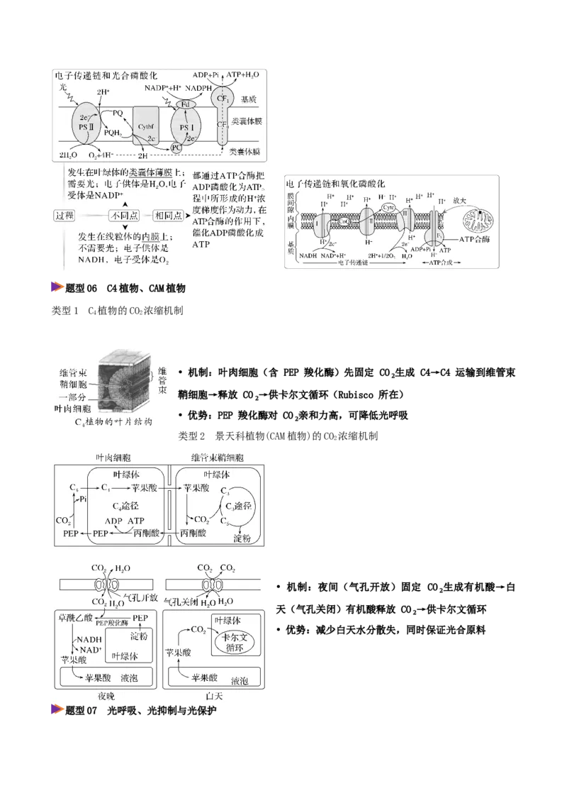 《压轴题01细胞代谢相关难点分析（8大题型精析）（全国通用）（解析版）_高考一二三轮复习_生物_2026年-生物高考专项复习_2026年高考生物终极冲刺讲练测（全国通用）-G459_2026版》第4页预览