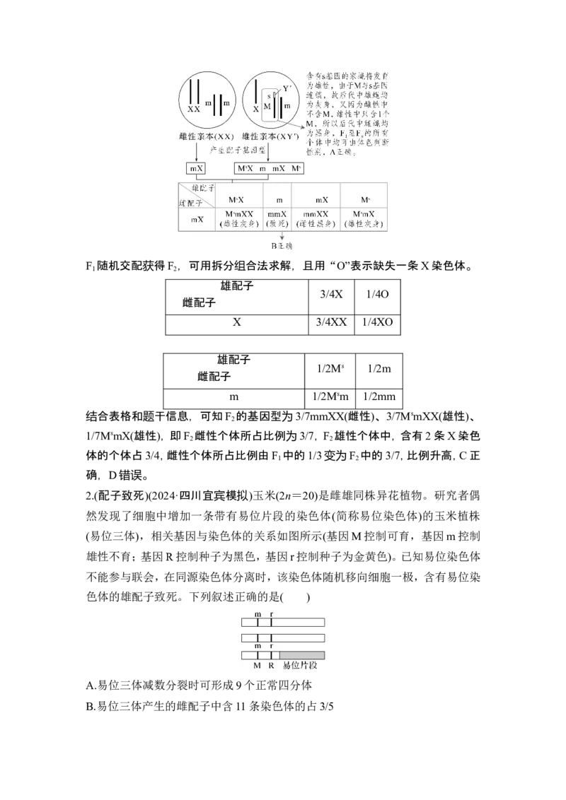 《盲点6遗传致死问题(1)_2026版高中《二三轮复习+冲刺复习》_高考生物生物二轮2026届高考生物步步高大二轮专题复习教师用书(word版)+教师用书配套PPT+题库(word版)(完整版)》第2页预览