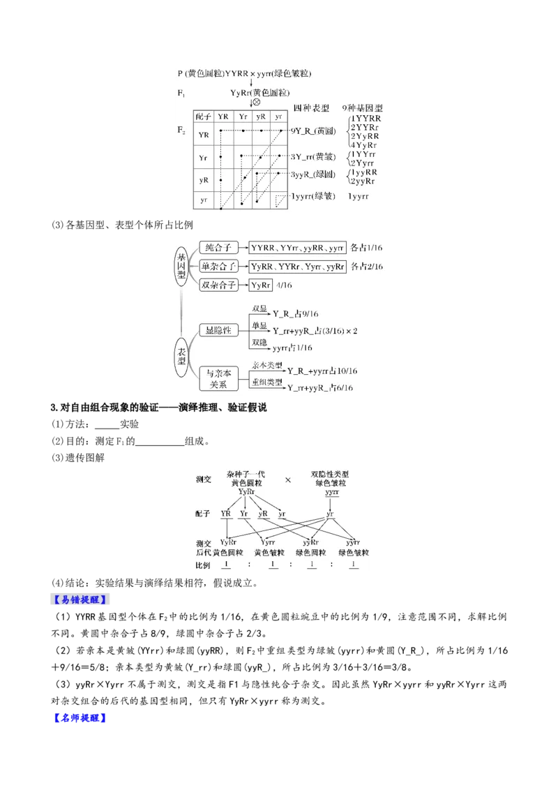 《第16讲自由组合定律（复习讲义）（全国通用）（学生版）_高考一二三轮复习_生物_2026年高考生物一轮_2026年高考生物一轮复习讲义+练习+课件（新教材新高考）-G55_2026版》第5页预览