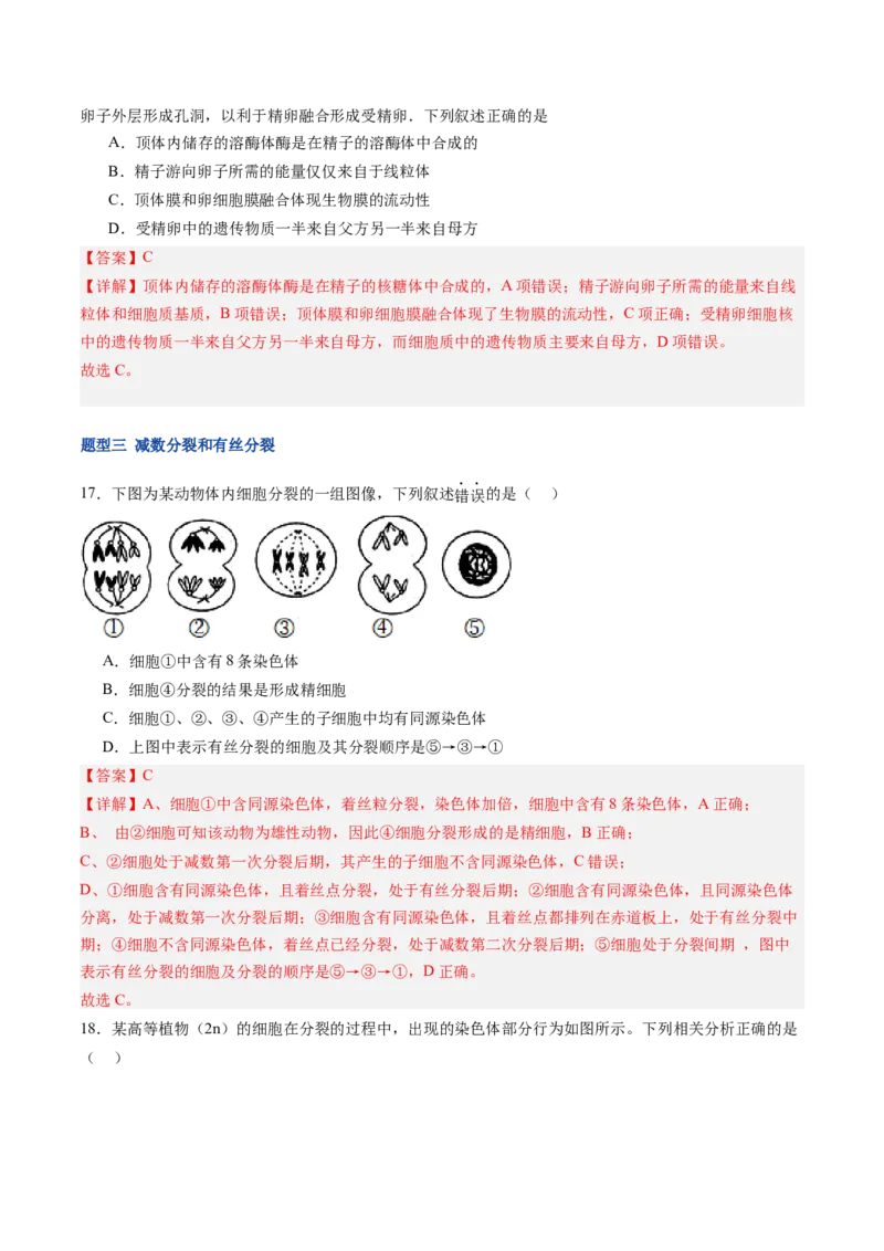 《第14讲减数分裂和受精作用（专项训练）（福建专用）（教师版）_高考一二三轮复习_生物_2026年高考生物一轮_2026年高考生物一轮课件+讲义+练习（福建专用）-G328》第10页预览