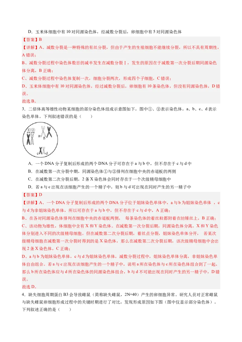 《第14讲减数分裂和受精作用（专项训练）（福建专用）（教师版）_高考一二三轮复习_生物_2026年高考生物一轮_2026年高考生物一轮课件+讲义+练习（福建专用）-G328》第2页预览