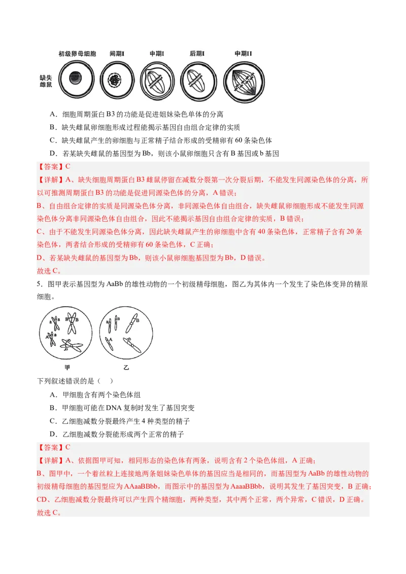 《第14讲减数分裂和受精作用（专项训练）（福建专用）（教师版）_高考一二三轮复习_生物_2026年高考生物一轮_2026年高考生物一轮课件+讲义+练习（福建专用）-G328》第3页预览