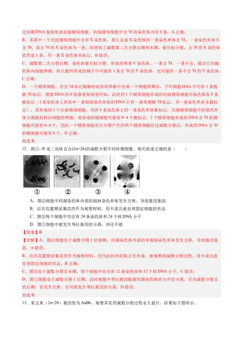 《第14讲减数分裂和受精作用（专项训练）（福建专用）（教师版）_高考一二三轮复习_生物_2026年高考生物一轮_2026年高考生物一轮课件+讲义+练习（福建专用）-G328》第7页预览