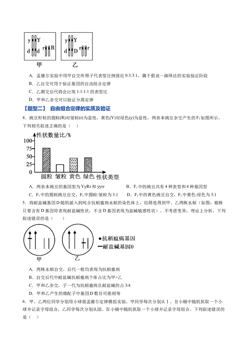 《第15讲自由组合定律（专项训练）（黑吉辽蒙专用）（学生版）_高考一二三轮复习_生物_2026年高考生物一轮_2026年高考生物一轮课件+讲义+练习（黑吉辽蒙专用）-G330》第2页预览