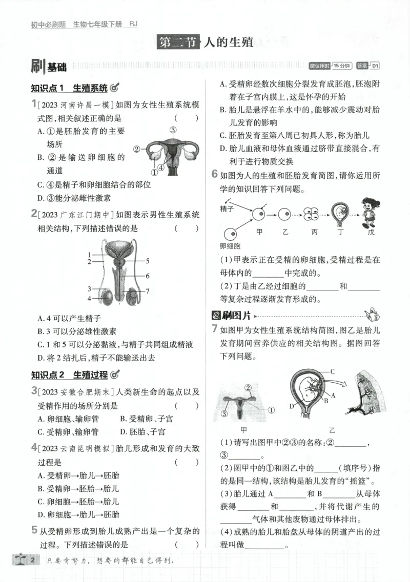 《2024版《初中必刷题》生物7下（RJ）_初中全科知识点总结和试卷_赠送习题试卷_初中3年学习辅助资料_2、2025初中必刷题合集_初中必刷题23+24+25上册_24初中必刷题上册+下册全_2024版-下册》第8页预览