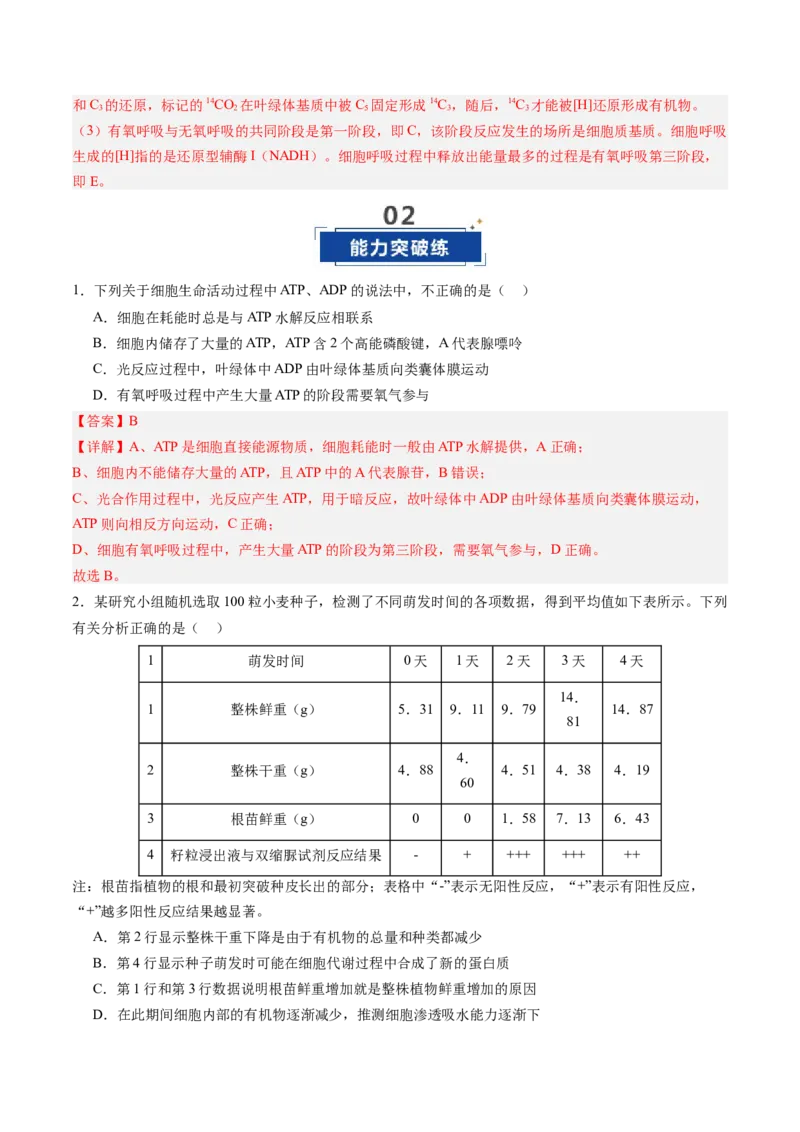 《第11讲细胞代谢综合分析（专项训练）（四川专用）（教师版）_高考一二三轮复习_生物_2026年高考生物一轮_2026年高考生物一轮课件+讲义+练习（四川专用）-G335》第6页预览