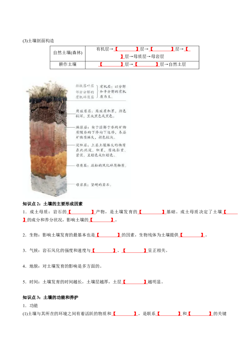 《第5章植被与土壤（学生版）-高中地理知识总结（人教版必修第一册）_2027高中必刷题_必刷题2027_2027高一高二必刷题_地理_人教版必修1-高中地理》第4页预览
