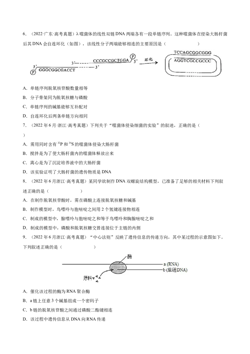 《专题05遗传的分子基础-十年（2013-2022）高考生物真题分项汇编（全国通用）（学生版）_初高中资料库_高中资料库（转存避免链接过期失效）_高中生物》第2页预览