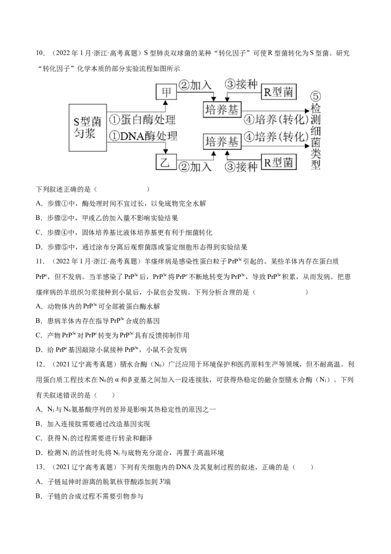 《专题05遗传的分子基础-十年（2013-2022）高考生物真题分项汇编（全国通用）（学生版）_初高中资料库_高中资料库（转存避免链接过期失效）_高中生物》第3页预览
