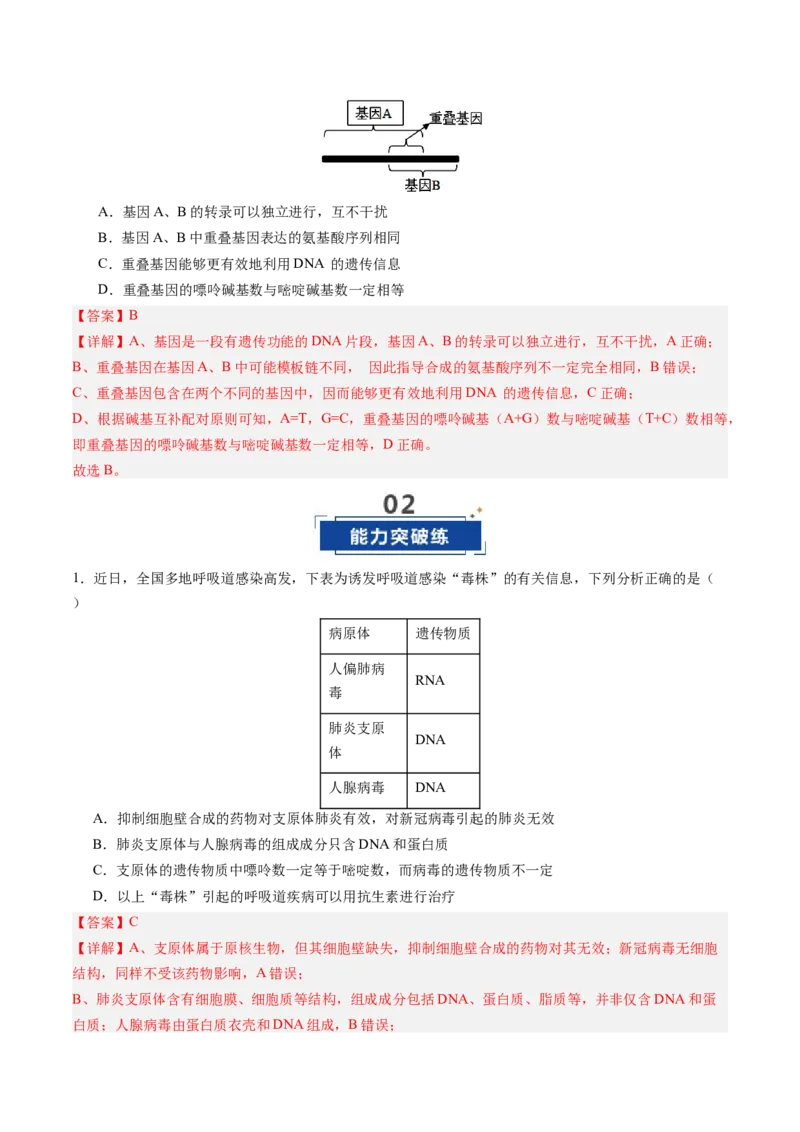 《第20讲DNA分子的结构、复制与基因的本质（专项训练）（四川专用）（教师版）_高考一二三轮复习_生物_2026年高考生物一轮_2026年高考生物一轮课件+讲义+练习（四川专用）-G335》第10页预览