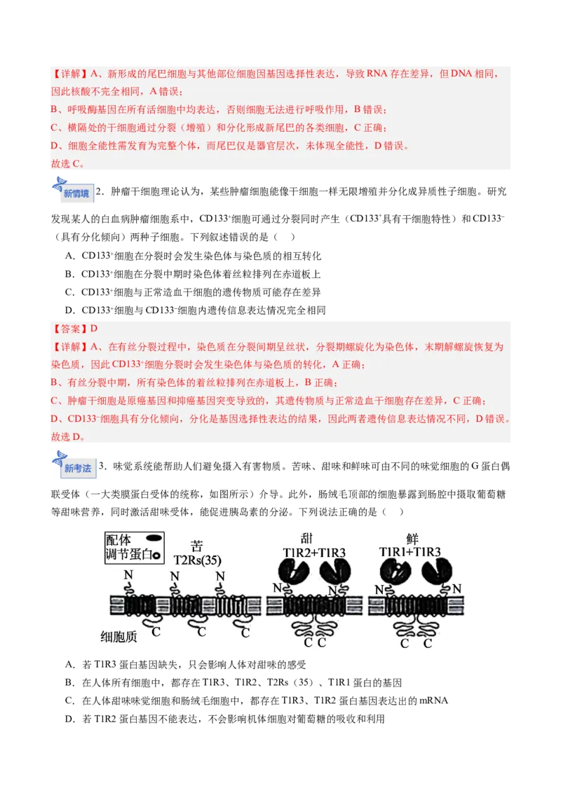 《第14讲细胞的分化、衰老和死亡（专项训练）（四川专用）（教师版）_高考一二三轮复习_生物_2026年高考生物一轮_2026年高考生物一轮课件+讲义+练习（四川专用）-G335》第10页预览