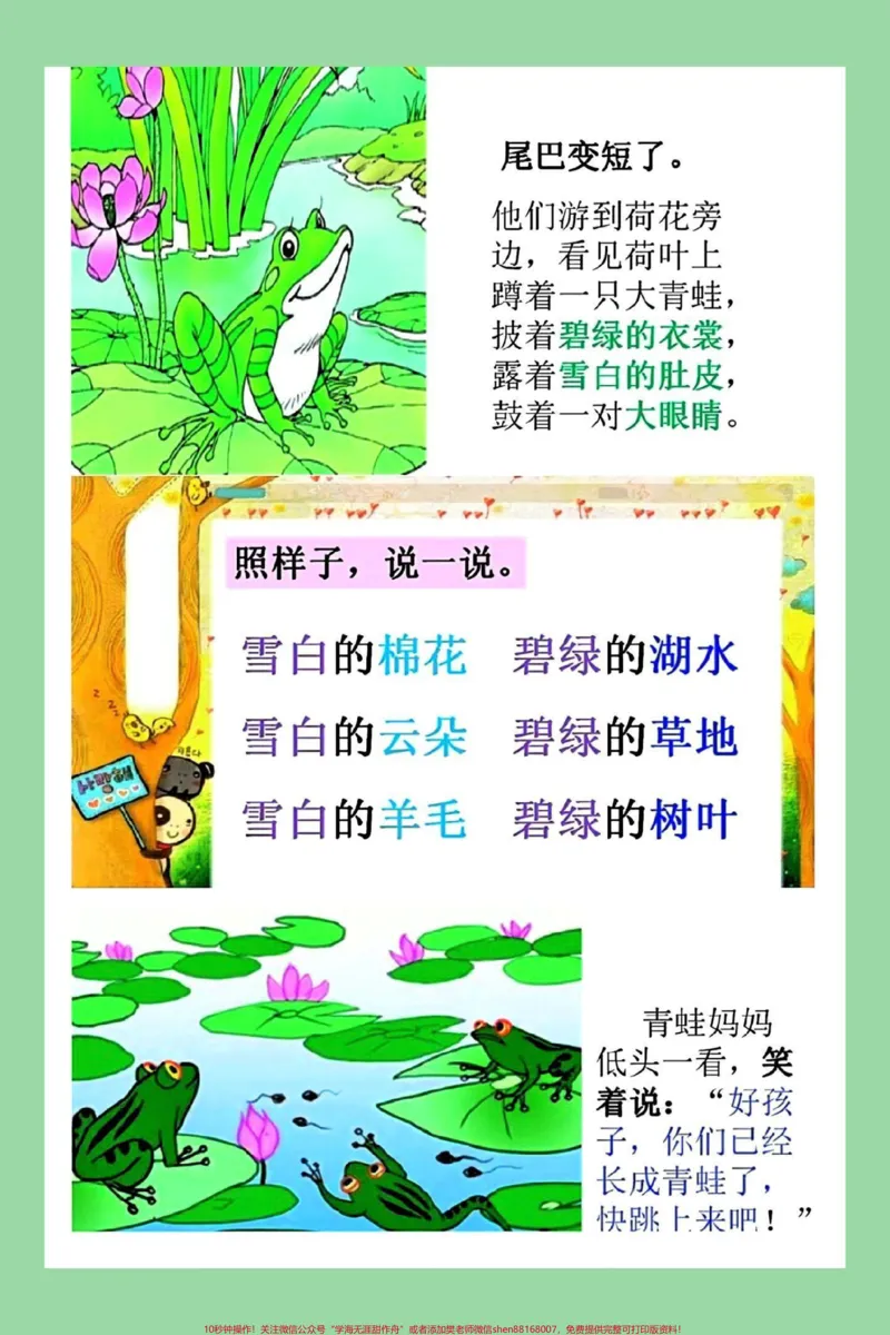 《#每天学习一点点#暑假预习#二年级语文#小蝌蚪找妈妈二年级上册语文第一课。小蝌蚪找妈妈PPT加生字解析》第6页预览