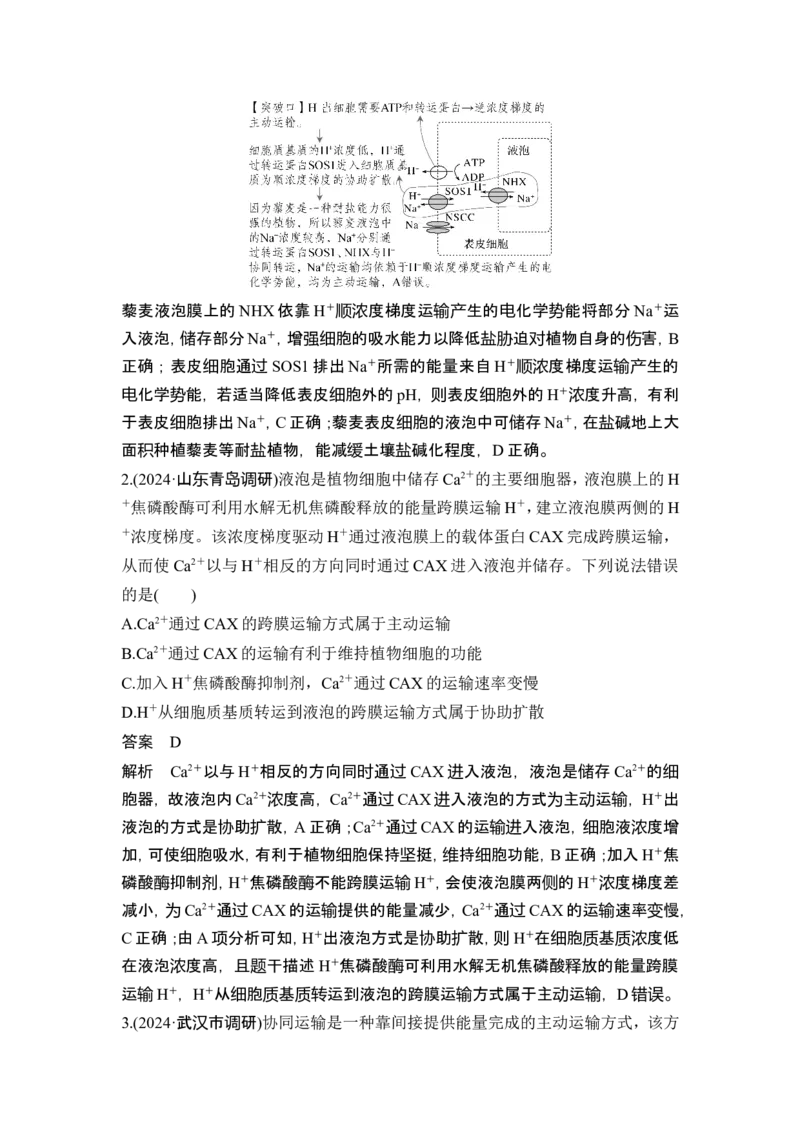 《易错点1协同转运_2026版高中《二三轮复习+冲刺复习》_高考生物生物二轮2026届高考生物步步高大二轮专题复习教师用书(word版)+教师用书配套PPT+题库(word版)(完整版)》第2页预览