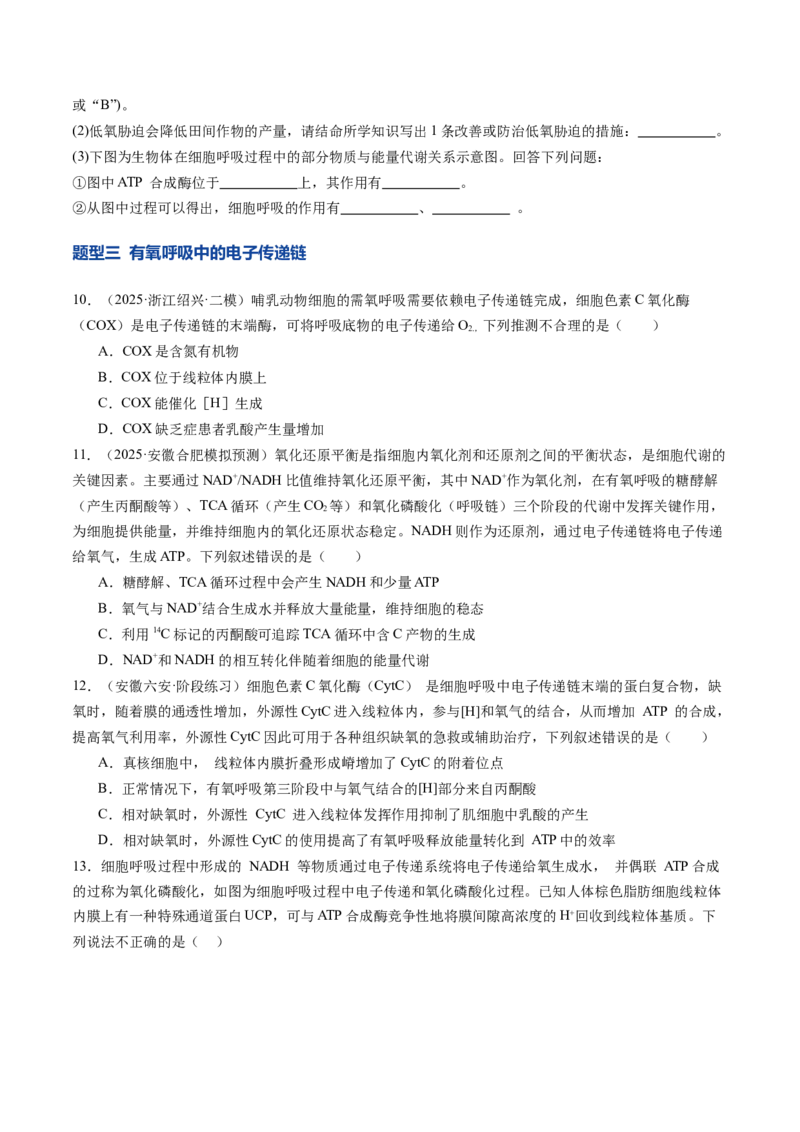 《第10讲细胞呼吸（专项训练）（安徽专用）（学生版）_高考一二三轮复习_生物_2026年高考生物一轮_2026年高考生物一轮课件+讲义+练习（安徽专用）-G326》第5页预览