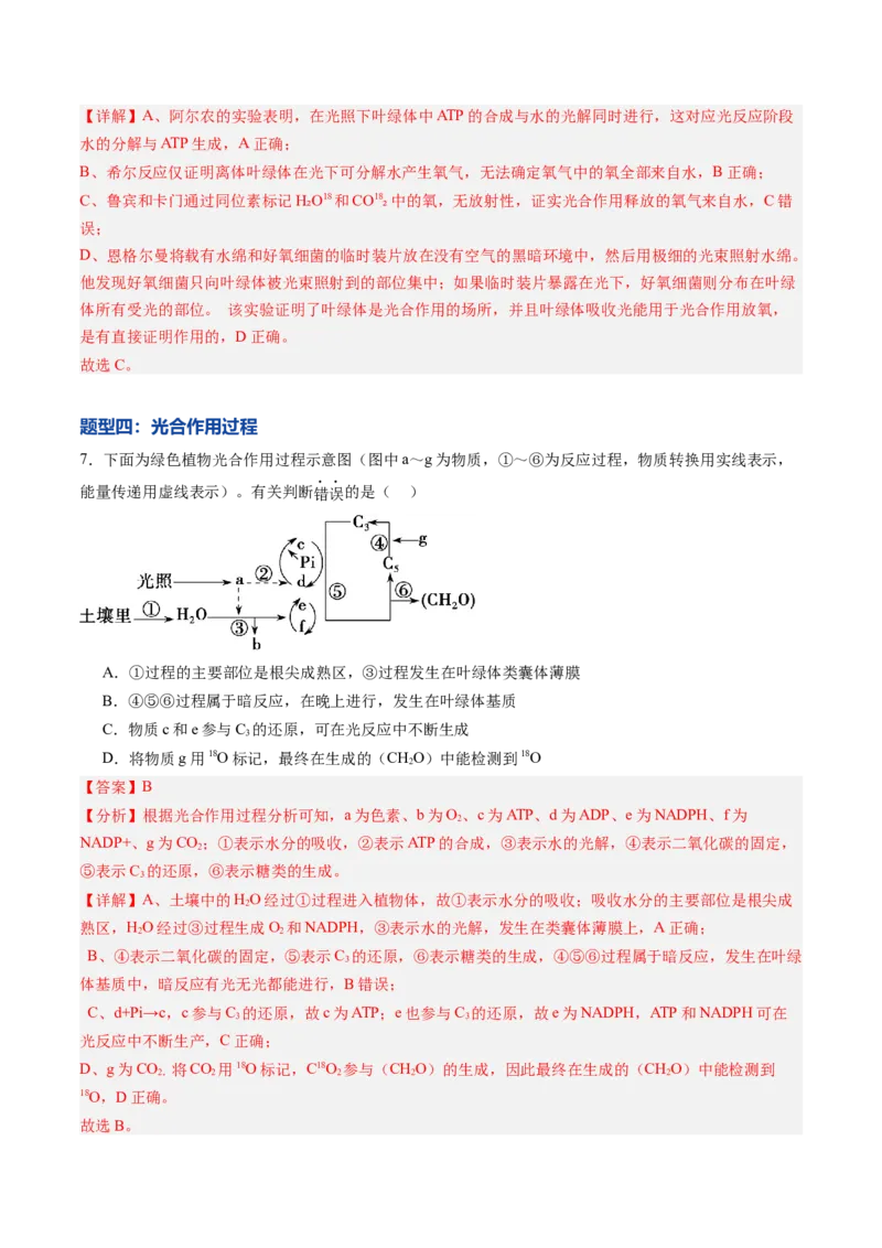 《第10讲光合作用（专项训练）（黑吉辽蒙专用）（教师版）_高考一二三轮复习_生物_2026年高考生物一轮_2026年高考生物一轮课件+讲义+练习（黑吉辽蒙专用）-G330》第5页预览