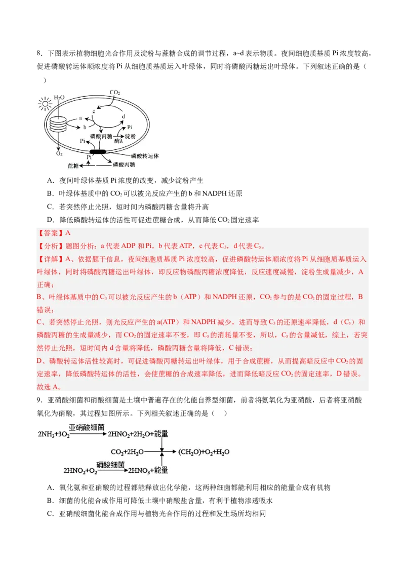 《第10讲光合作用（专项训练）（黑吉辽蒙专用）（教师版）_高考一二三轮复习_生物_2026年高考生物一轮_2026年高考生物一轮课件+讲义+练习（黑吉辽蒙专用）-G330》第6页预览