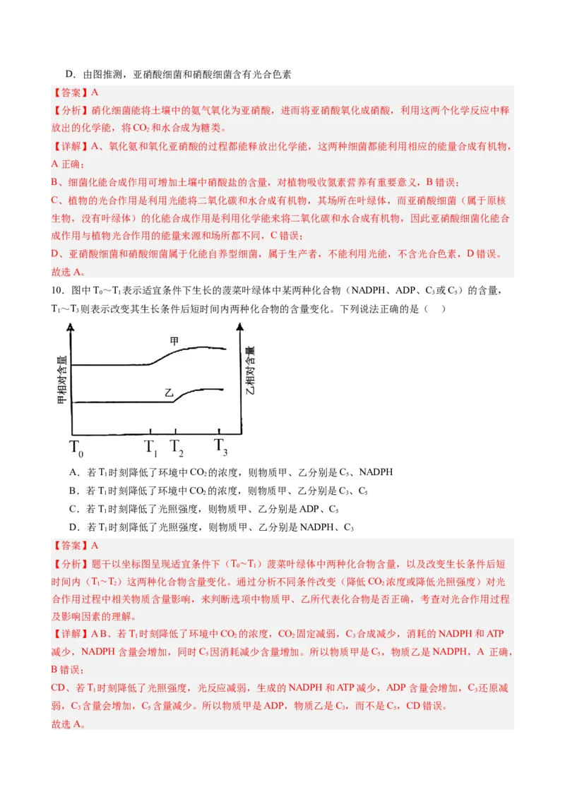 《第10讲光合作用（专项训练）（黑吉辽蒙专用）（教师版）_高考一二三轮复习_生物_2026年高考生物一轮_2026年高考生物一轮课件+讲义+练习（黑吉辽蒙专用）-G330》第7页预览