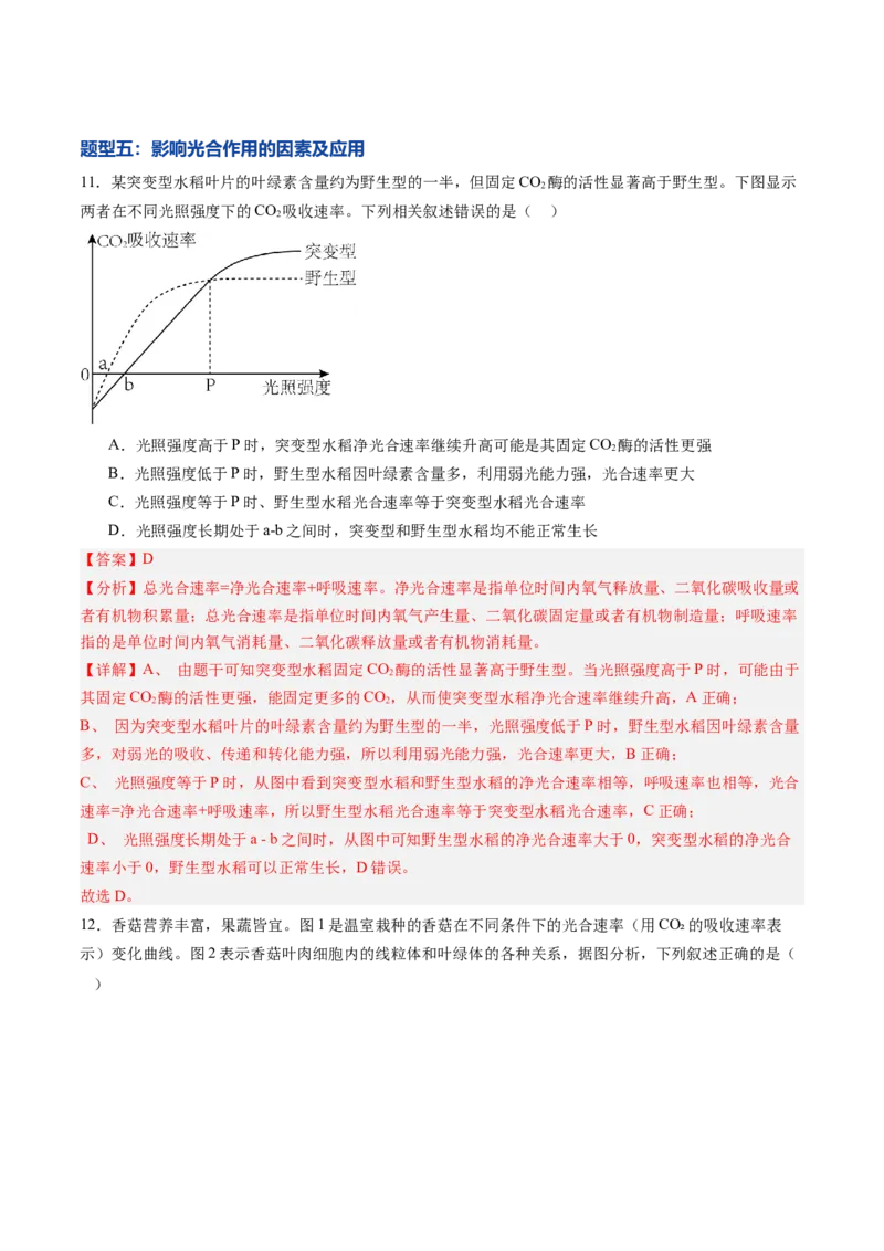 《第10讲光合作用（专项训练）（黑吉辽蒙专用）（教师版）_高考一二三轮复习_生物_2026年高考生物一轮_2026年高考生物一轮课件+讲义+练习（黑吉辽蒙专用）-G330》第8页预览