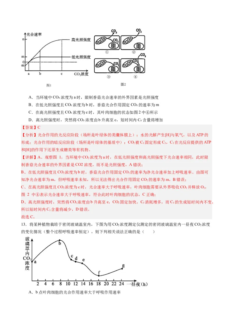 《第10讲光合作用（专项训练）（黑吉辽蒙专用）（教师版）_高考一二三轮复习_生物_2026年高考生物一轮_2026年高考生物一轮课件+讲义+练习（黑吉辽蒙专用）-G330》第9页预览