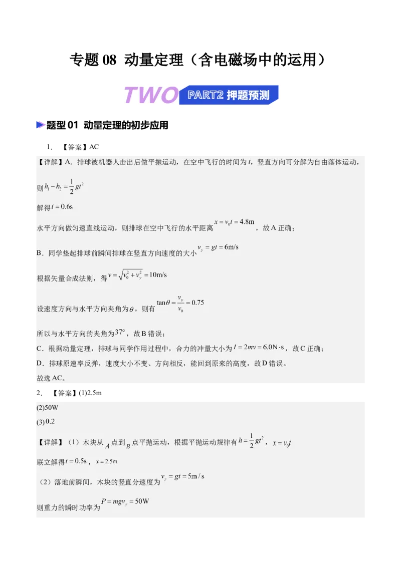 《专题08动量定理（含电磁场中的运用）（抢分专练）（答案版）_高考一二三轮复习_物理_2026年-物理高考专项复习_2026年高考物理终极冲刺讲练测（全国通用）-G459_2026版》第1页预览