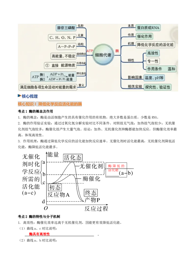 《第08讲酶与ATP（黑吉辽蒙专用）（教师版）_高考一二三轮复习_生物_2027年高考生物一轮_2027年高考生物一轮课件+讲义+练习（黑吉辽蒙专用）-G330_2027版》第3页预览