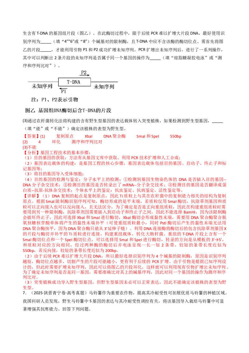 《专题23基因工程（教师版）_高考一二三轮复习_生物_2026年-生物高考专项复习_十年（2016-2025）高考生物真题分类汇编（全国通用）-G15》第10页预览