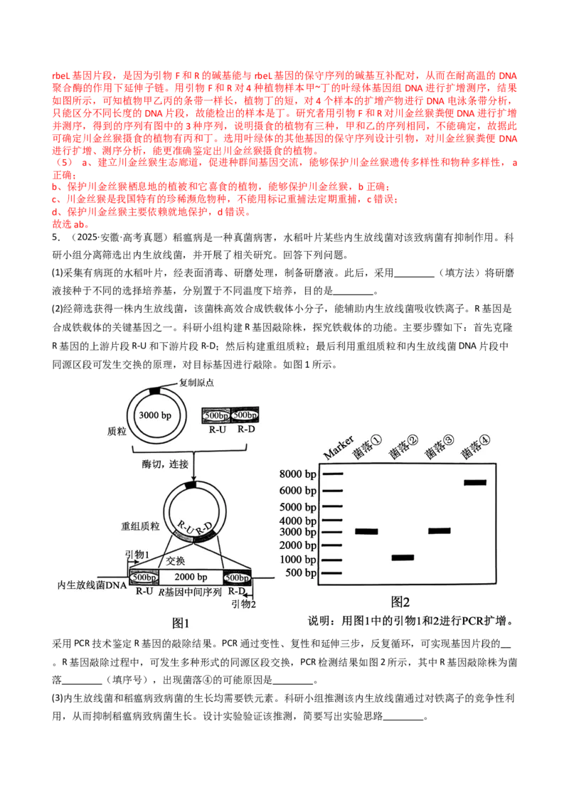 《专题23基因工程（教师版）_高考一二三轮复习_生物_2026年-生物高考专项复习_十年（2016-2025）高考生物真题分类汇编（全国通用）-G15》第8页预览