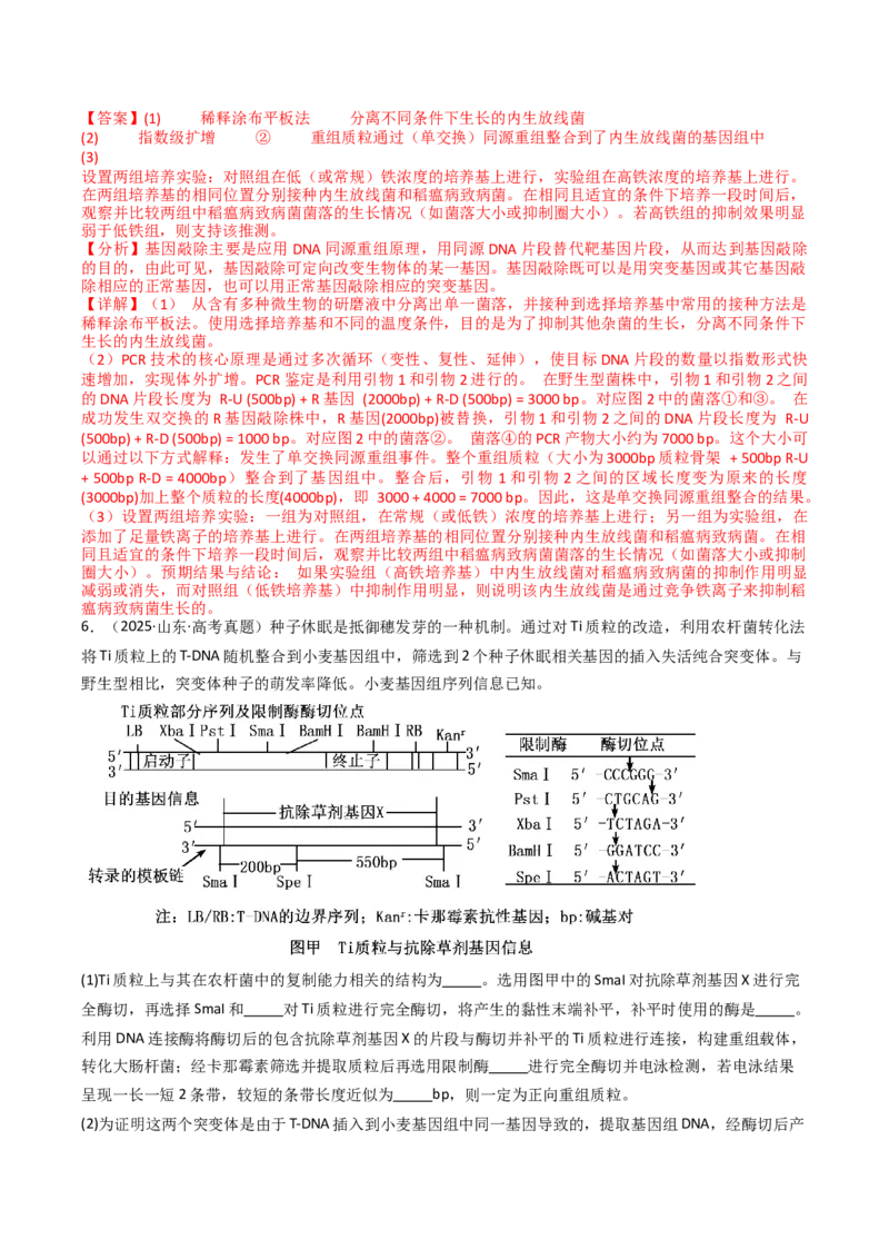 《专题23基因工程（教师版）_高考一二三轮复习_生物_2026年-生物高考专项复习_十年（2016-2025）高考生物真题分类汇编（全国通用）-G15》第9页预览