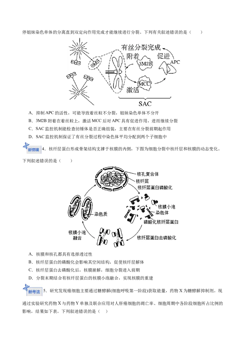 《第12讲细胞的增殖（专项训练）（四川专用）（学生版）_高考一二三轮复习_生物_2026年高考生物一轮_2026年高考生物一轮课件+讲义+练习（四川专用）-G335》第7页预览