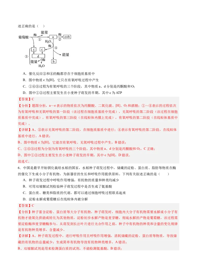 《第09讲细胞呼吸（专项训练）（黑吉辽蒙专用）（教师版）_高考一二三轮复习_生物_2026年高考生物一轮_2026年高考生物一轮课件+讲义+练习（黑吉辽蒙专用）-G330》第4页预览