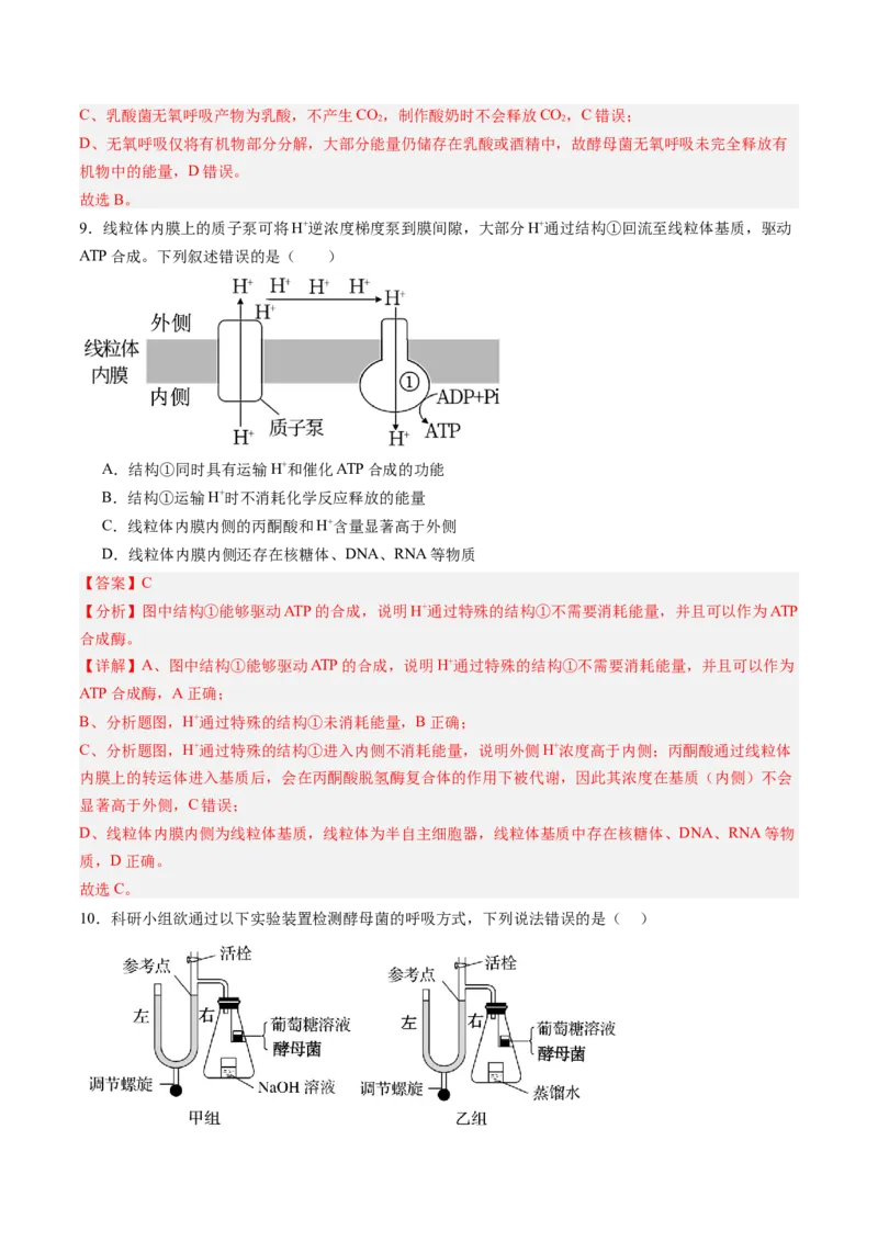 《第09讲细胞呼吸（专项训练）（黑吉辽蒙专用）（教师版）_高考一二三轮复习_生物_2026年高考生物一轮_2026年高考生物一轮课件+讲义+练习（黑吉辽蒙专用）-G330》第6页预览