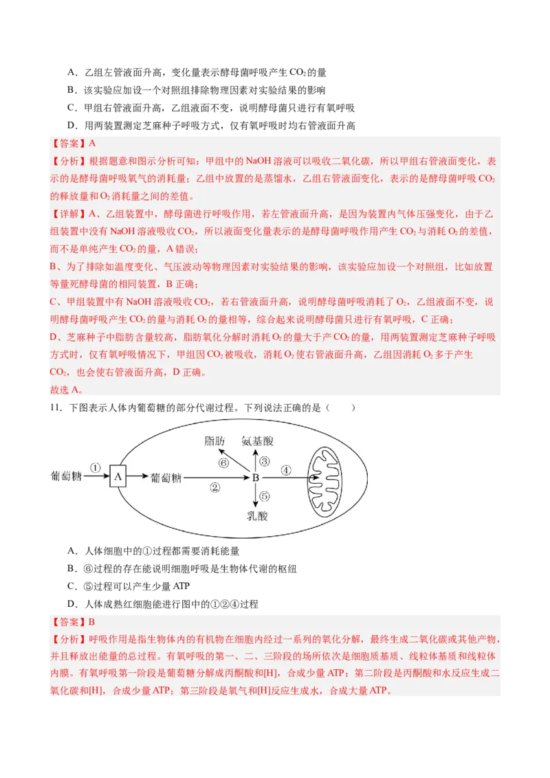 《第09讲细胞呼吸（专项训练）（黑吉辽蒙专用）（教师版）_高考一二三轮复习_生物_2026年高考生物一轮_2026年高考生物一轮课件+讲义+练习（黑吉辽蒙专用）-G330》第7页预览