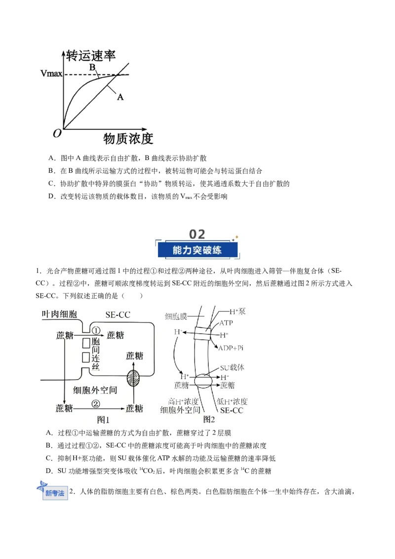 《第08讲物质进出细胞方式及影响因素（专项训练）（安徽专用）（学生版）_高考一二三轮复习_生物_2026年高考生物一轮_2026年高考生物一轮课件+讲义+练习（安徽专用）-G326》第5页预览