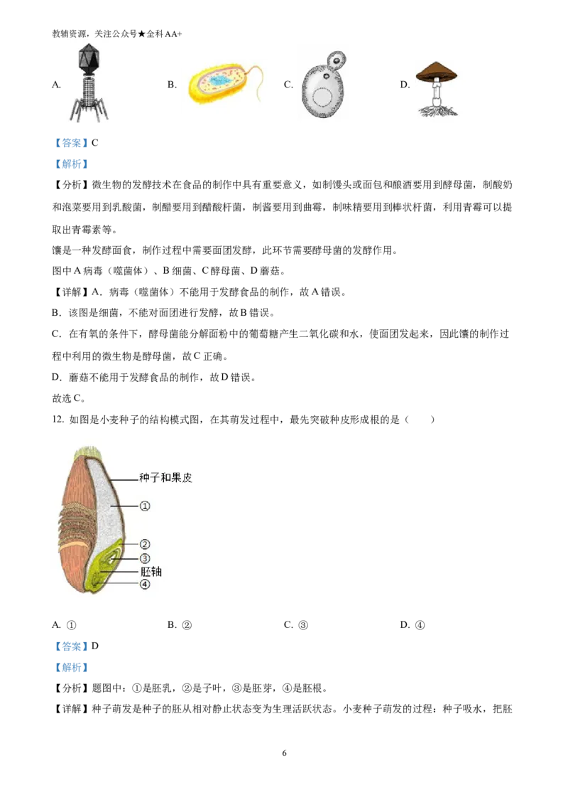 《2025新疆生产建设兵团中考生物真题(解析版)_历年中考真题2013-2025_初中生物历年中考真题（2015-2025）_2025年全国中考真题_2025新疆生产建设兵团中考生物真题》第6页预览