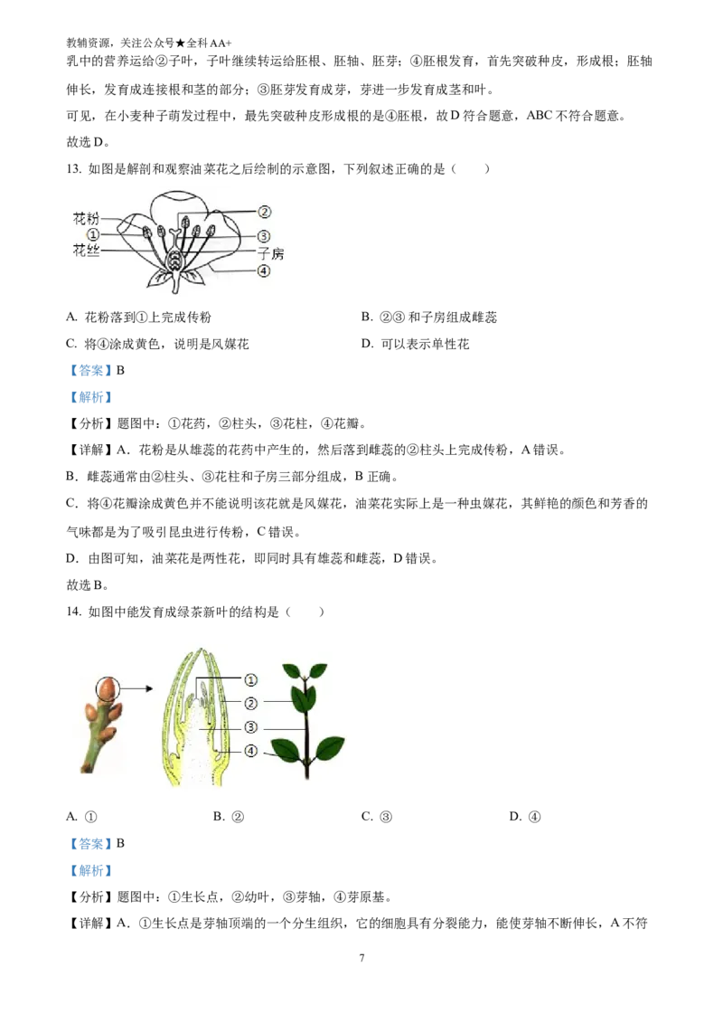 《2025新疆生产建设兵团中考生物真题(解析版)_历年中考真题2013-2025_初中生物历年中考真题（2015-2025）_2025年全国中考真题_2025新疆生产建设兵团中考生物真题》第7页预览