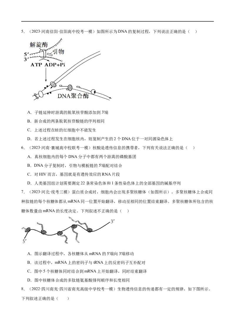 《专题05遗传的分子基础（分层练）（原卷版）_初高中资料库_高中资料库（转存避免链接过期失效）_高中生物》第2页预览