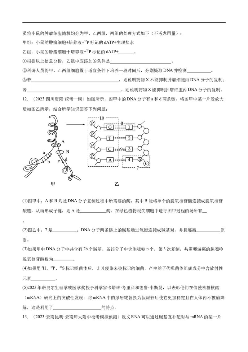 《专题05遗传的分子基础（分层练）（原卷版）_初高中资料库_高中资料库（转存避免链接过期失效）_高中生物》第4页预览