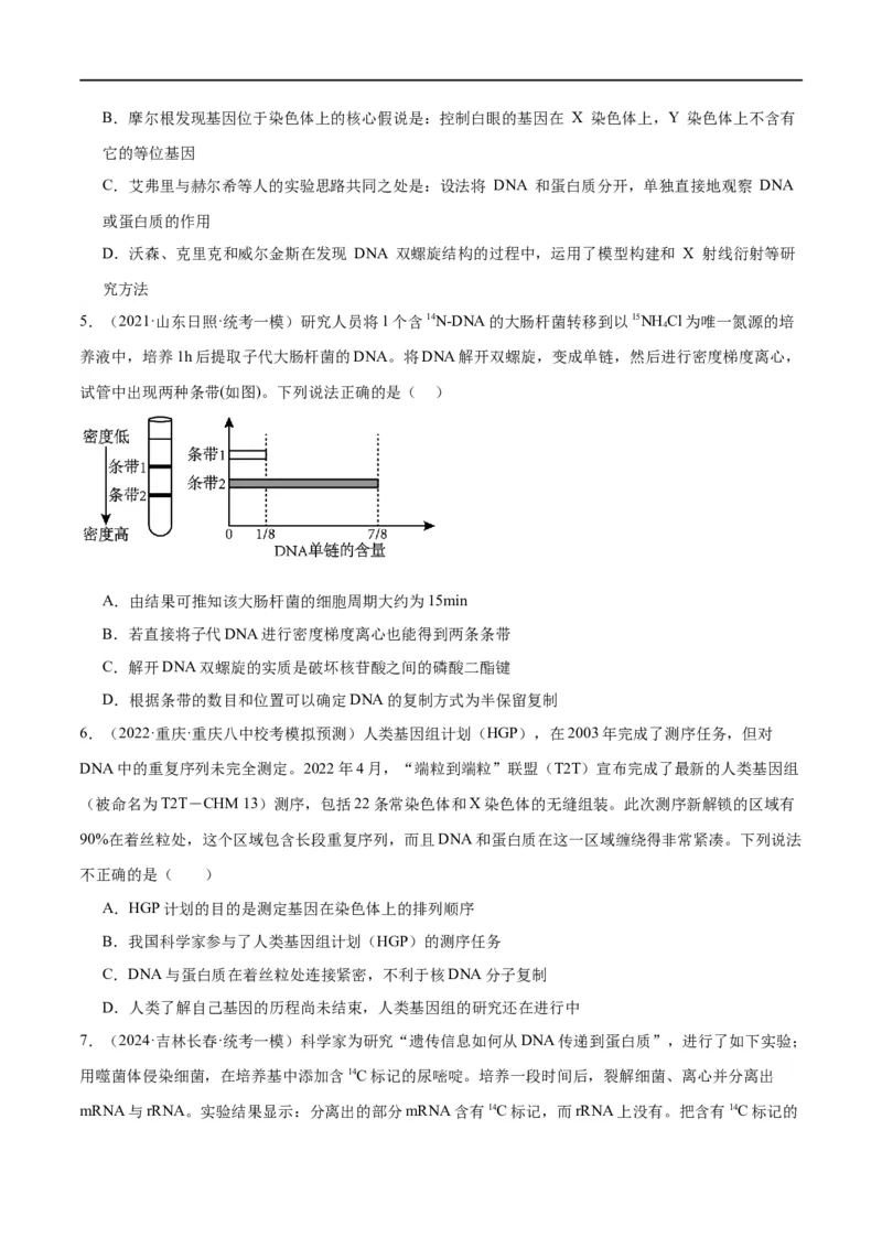 《专题05遗传的分子基础（分层练）（原卷版）_初高中资料库_高中资料库（转存避免链接过期失效）_高中生物》第7页预览