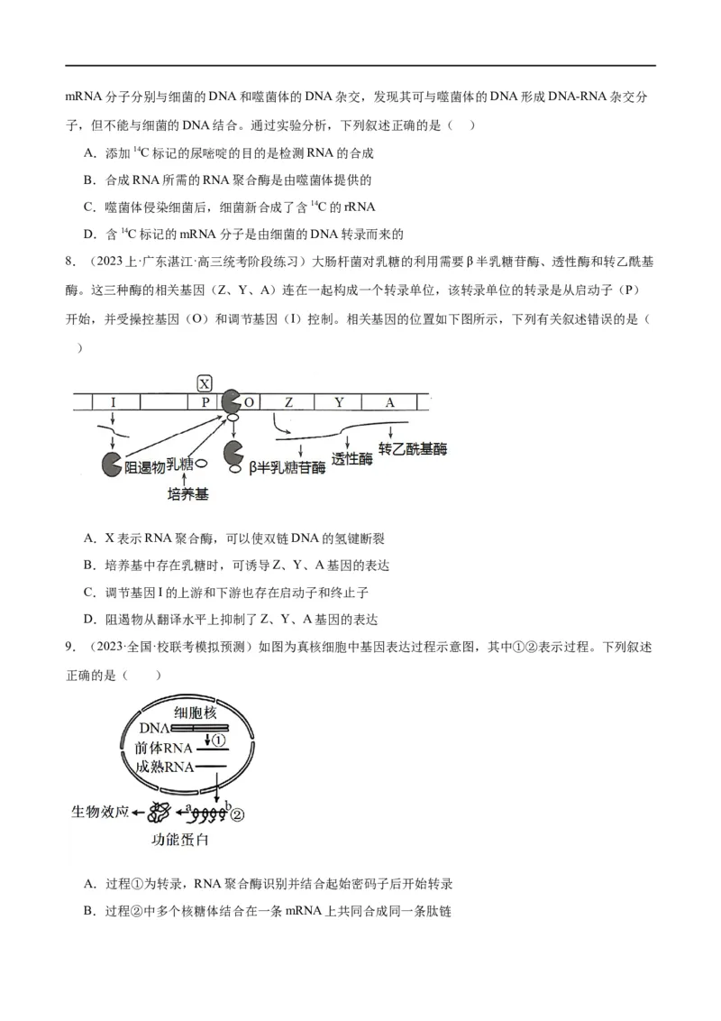 《专题05遗传的分子基础（分层练）（原卷版）_初高中资料库_高中资料库（转存避免链接过期失效）_高中生物》第8页预览