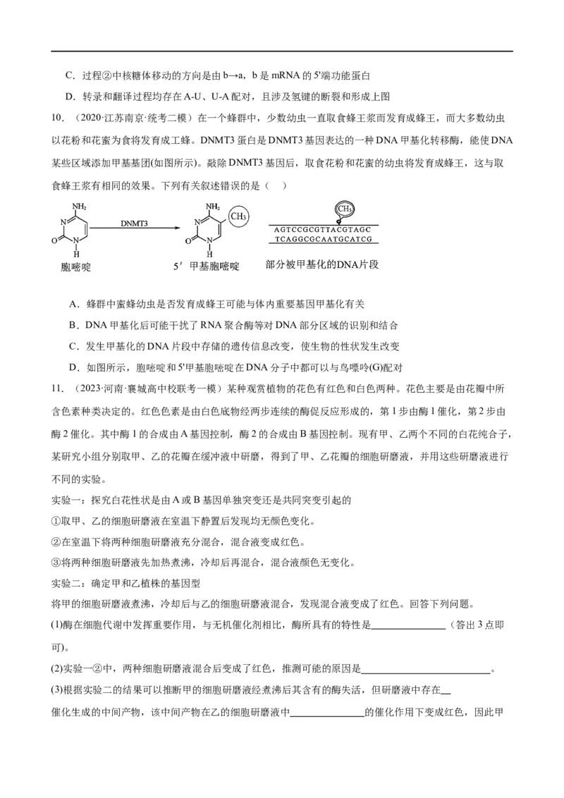 《专题05遗传的分子基础（分层练）（原卷版）_初高中资料库_高中资料库（转存避免链接过期失效）_高中生物》第9页预览