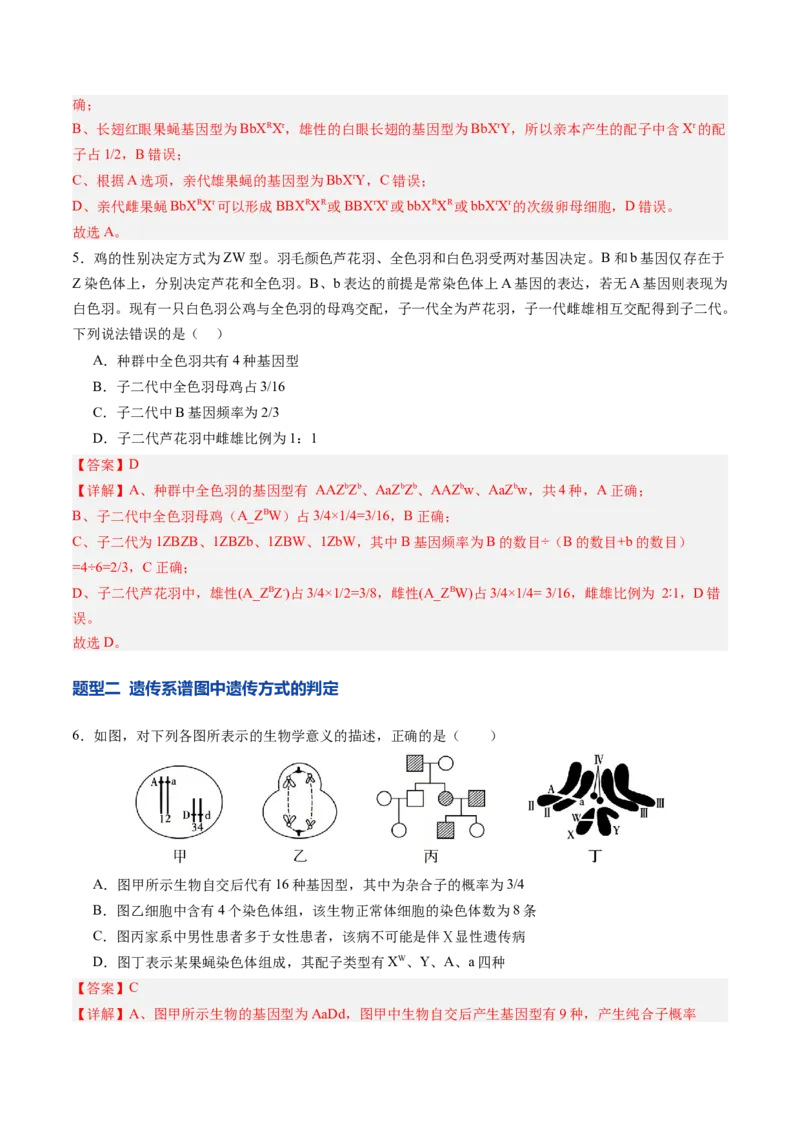 《第17讲伴性遗传和人类遗传病（专项训练）（四川专用）（教师版）_高考一二三轮复习_生物_2026年高考生物一轮_2026年高考生物一轮课件+讲义+练习（四川专用）-G335》第3页预览