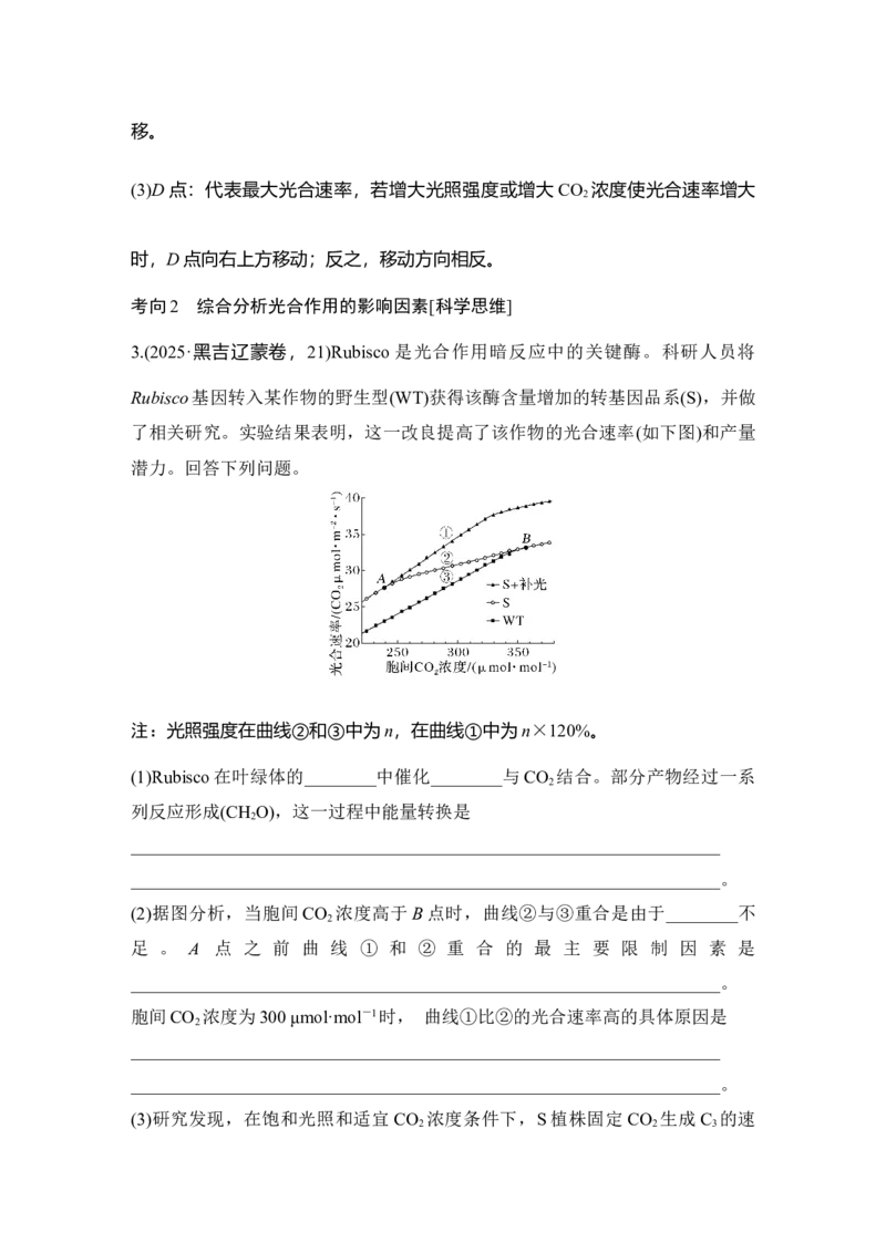 《第11讲光合作用的影响因素及其应用_高考一二三轮复习_生物_2027年高考生物一轮_12027年高考生物一轮复习讲义（考点详解）》第10页预览