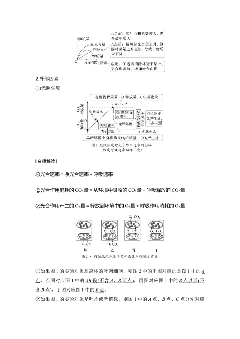 《第11讲光合作用的影响因素及其应用_高考一二三轮复习_生物_2027年高考生物一轮_12027年高考生物一轮复习讲义（考点详解）》第5页预览