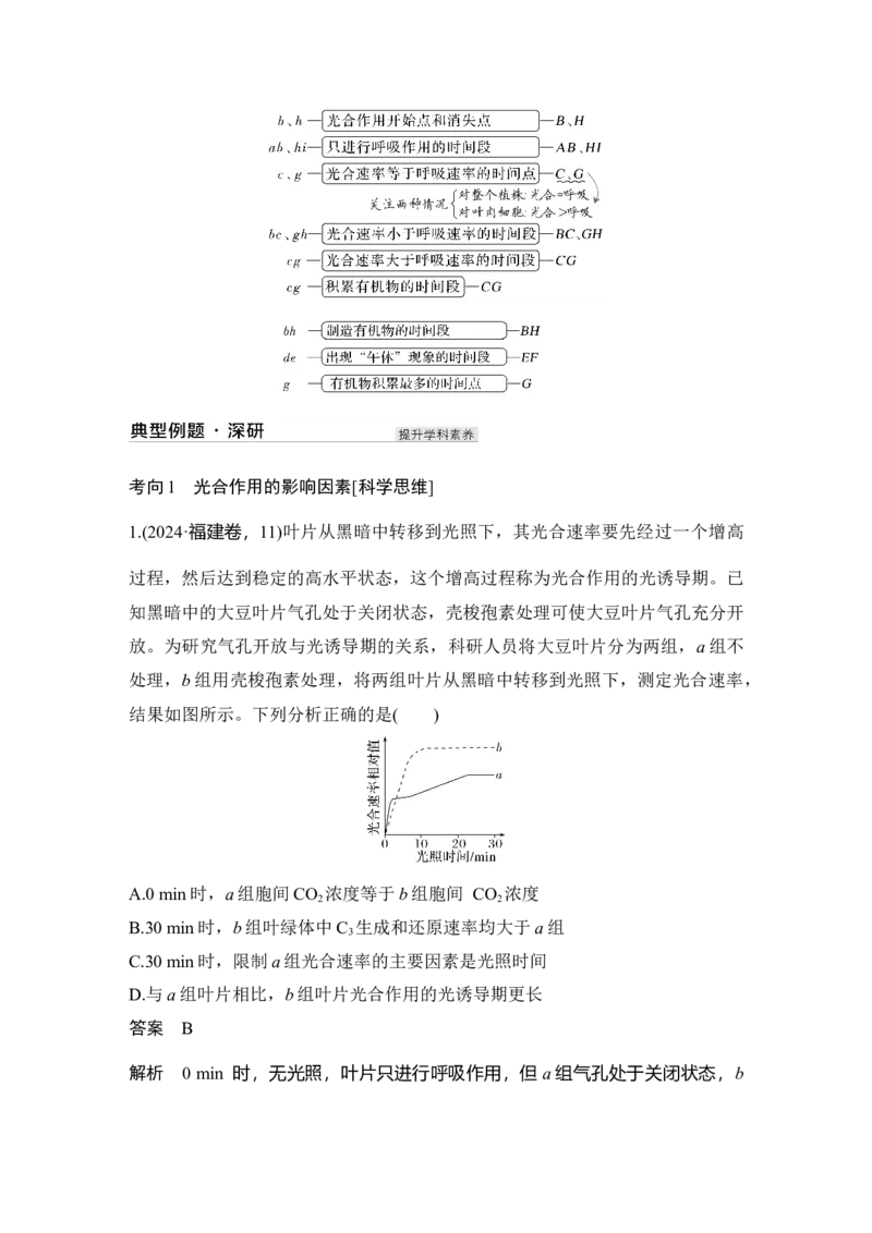 《第11讲光合作用的影响因素及其应用_高考一二三轮复习_生物_2027年高考生物一轮_12027年高考生物一轮复习讲义（考点详解）》第7页预览