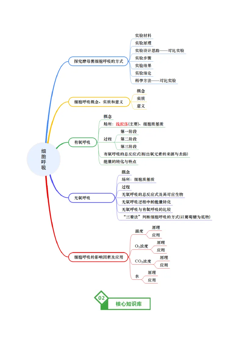 《第09讲细胞呼吸（知识清单）（全国通用）（教师版）_高考一二三轮复习_生物_2026年高考生物一轮_2026年高考生物一轮复习知识清单（全国通用）-G56_2026版》第2页预览