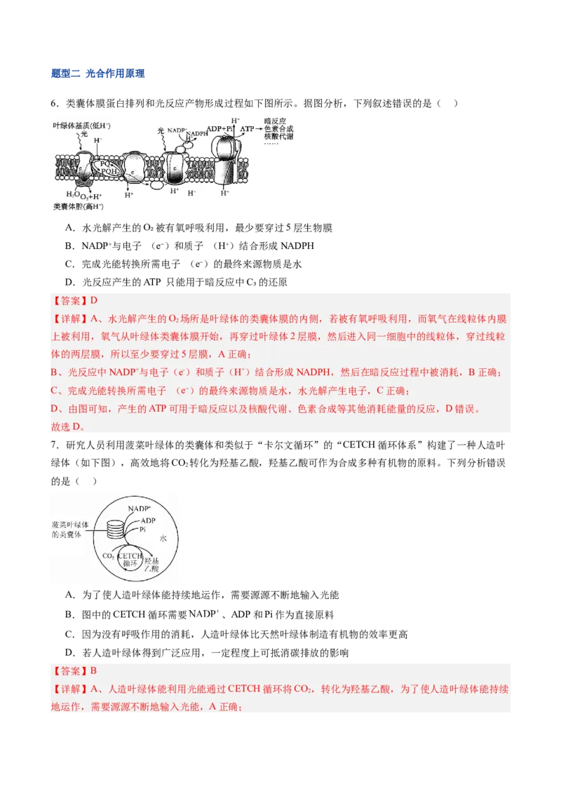 《第11讲光合作用（专项训练）（福建专用）（教师版）_高考一二三轮复习_生物_2026年高考生物一轮_2026年高考生物一轮课件+讲义+练习（福建专用）-G328》第4页预览