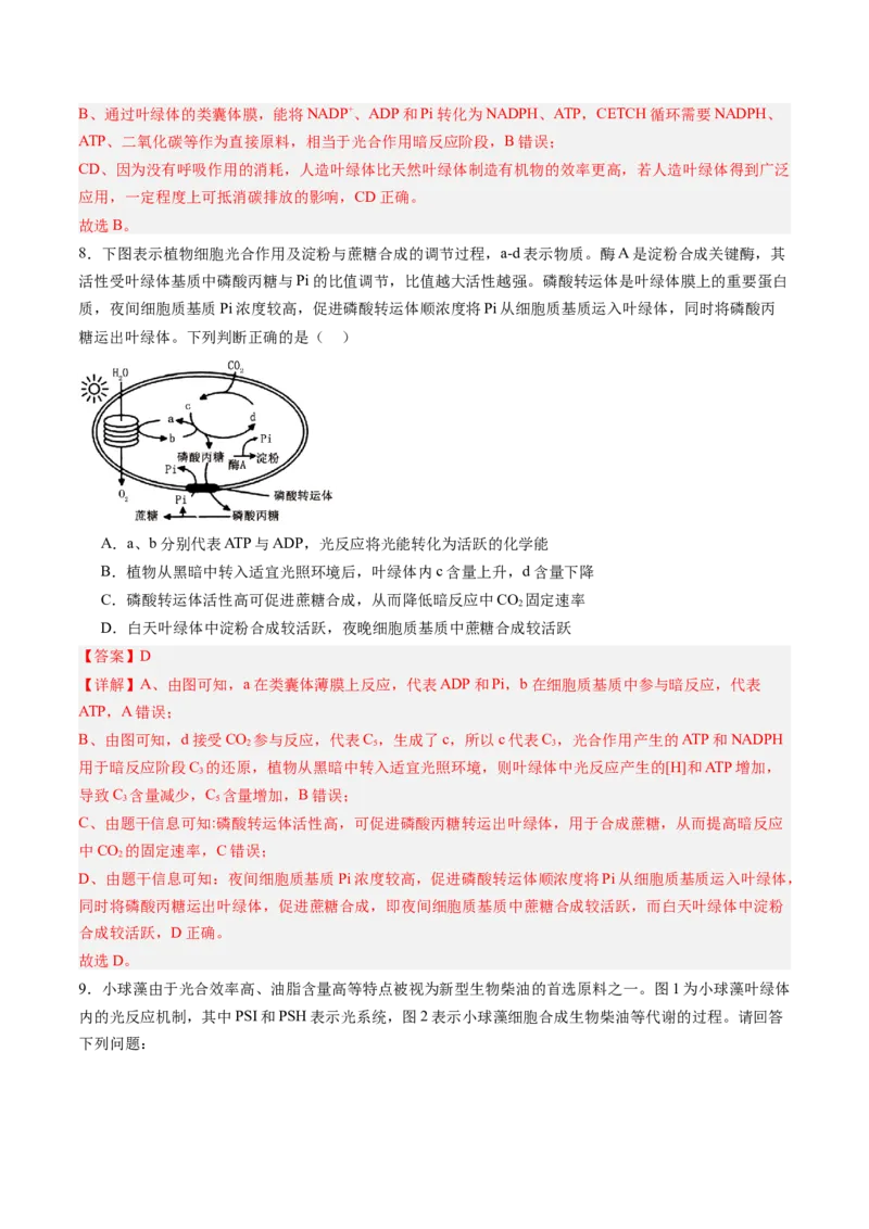 《第11讲光合作用（专项训练）（福建专用）（教师版）_高考一二三轮复习_生物_2026年高考生物一轮_2026年高考生物一轮课件+讲义+练习（福建专用）-G328》第5页预览